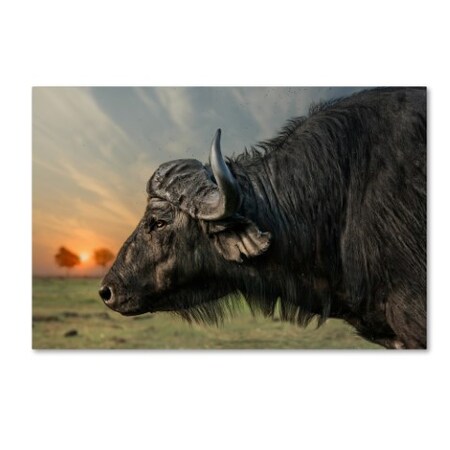 Trademark Fine Art Piet Flour 'Imagine' Canvas Art, 16x24 1X01476-C1624GG